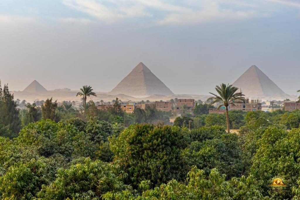 The pyramids of Giza rising above palm trees and greenery